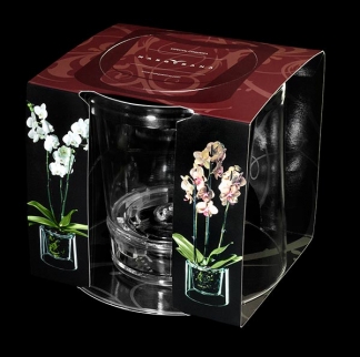Packaging Masgbana