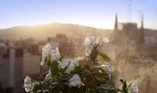 Sagrada Familia – Spot Terraza
