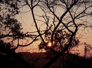Collserola: Quan es fa fosc.