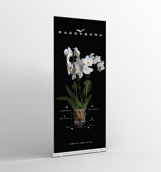 ROLLUP MASGABANA